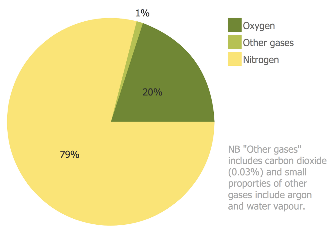 ConceptDraw Samples | Graphs and charts — Basic Pie chart