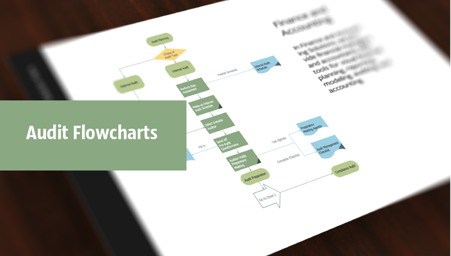 audit flowchart, fiscal flowchart