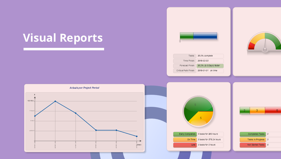 Visual Reports, project management, project report