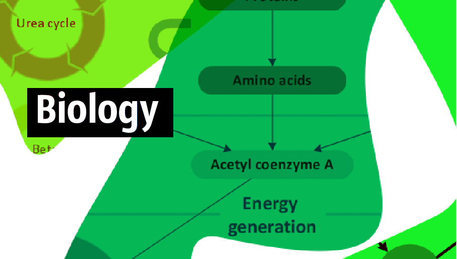 biological image,  biology drawing,  biology symbols