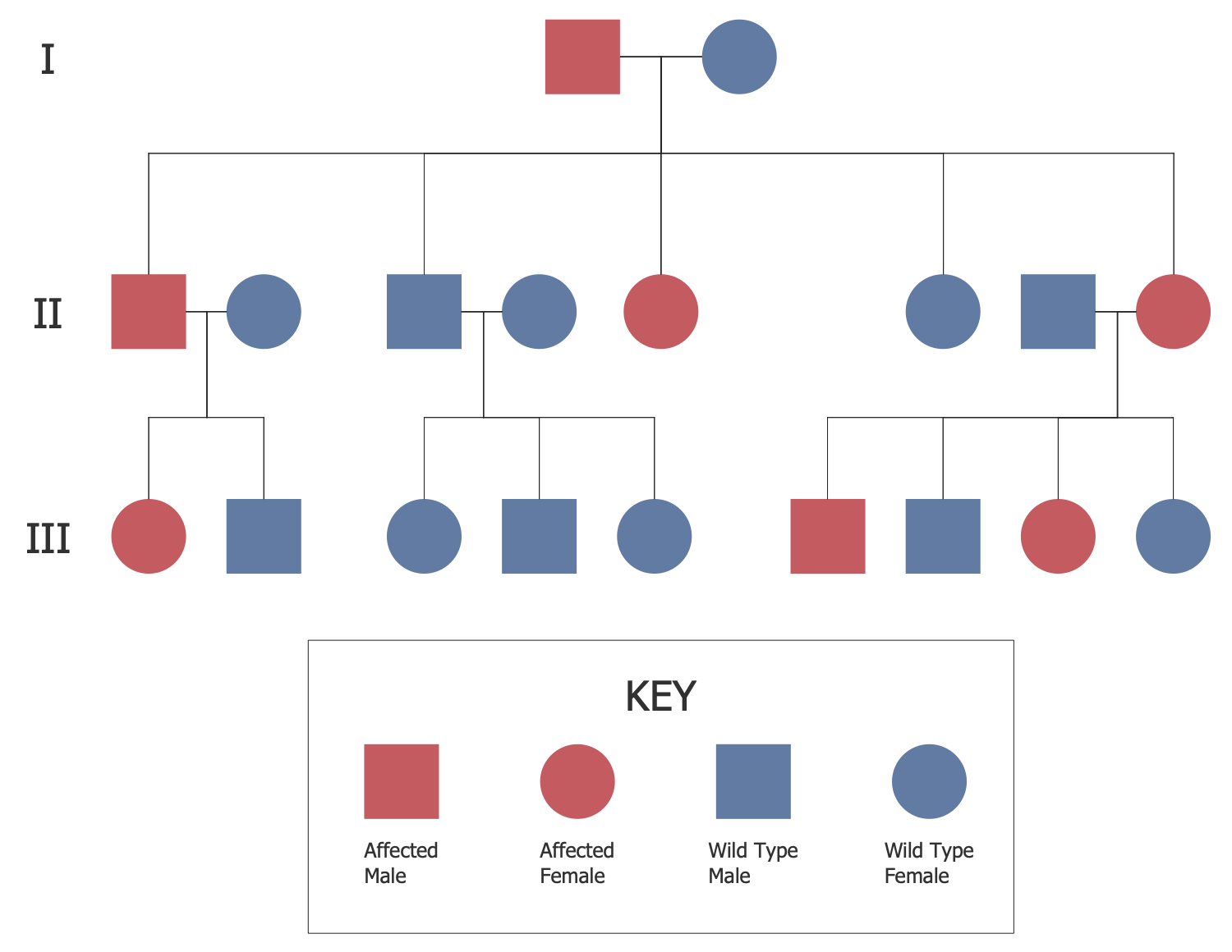 Autosomal Dominant Pedigree Chart