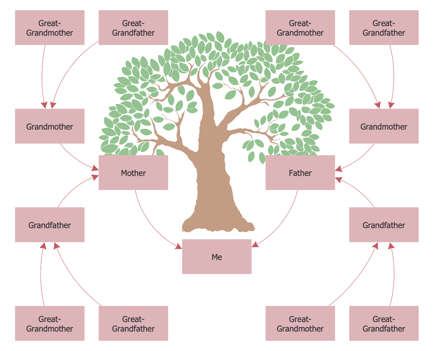 Family Tree Solution | ConceptDraw.com