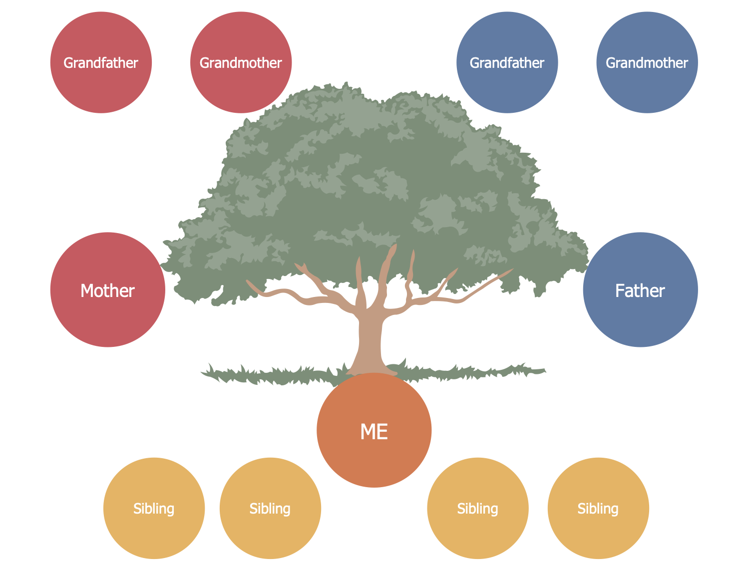 Family Tree Solution  ConceptDraw.com Inside 3 Generation Family Tree Template Word