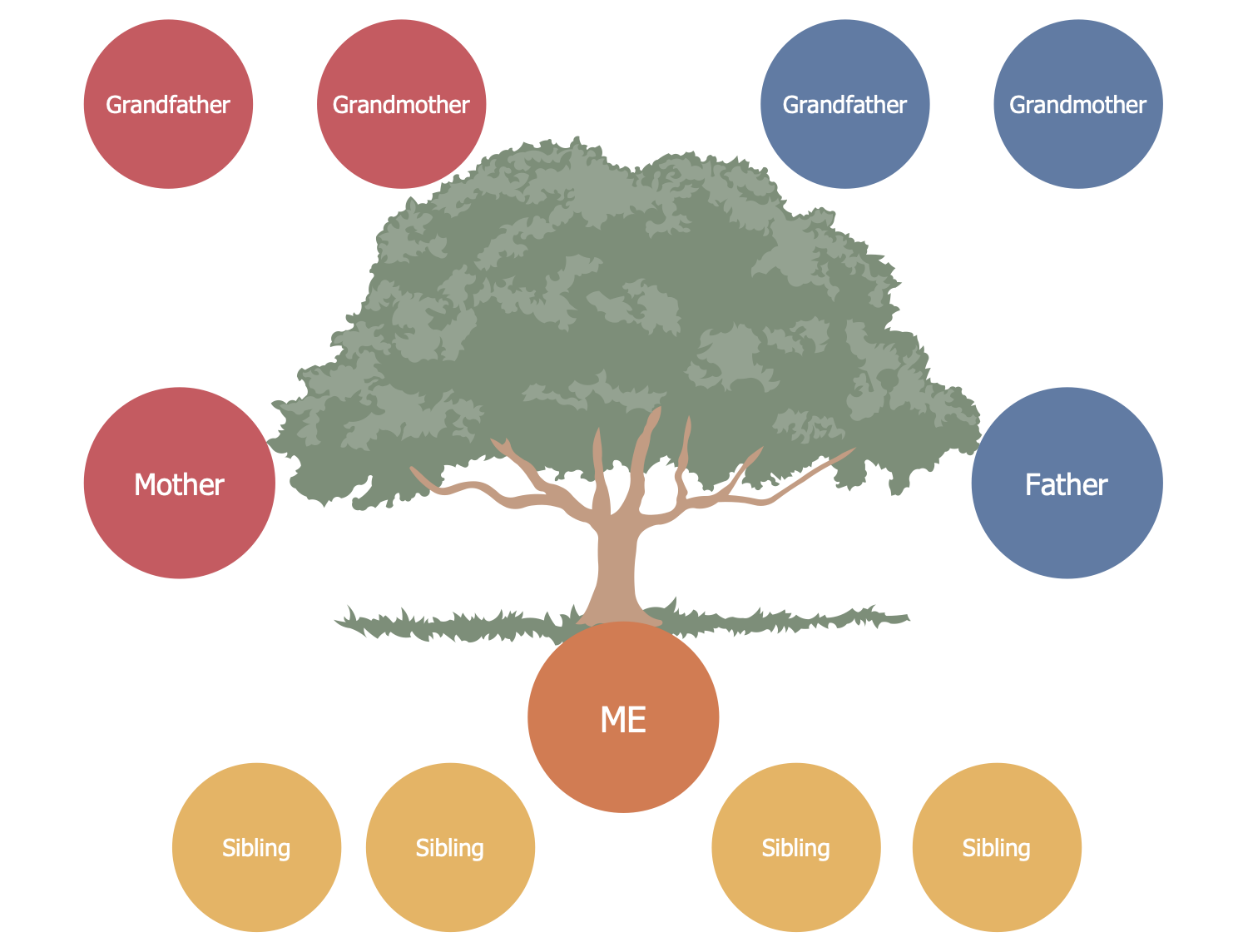 3 Generation Family Tree Chart, PowerPoint Slides Diagrams, Themes for  PPT