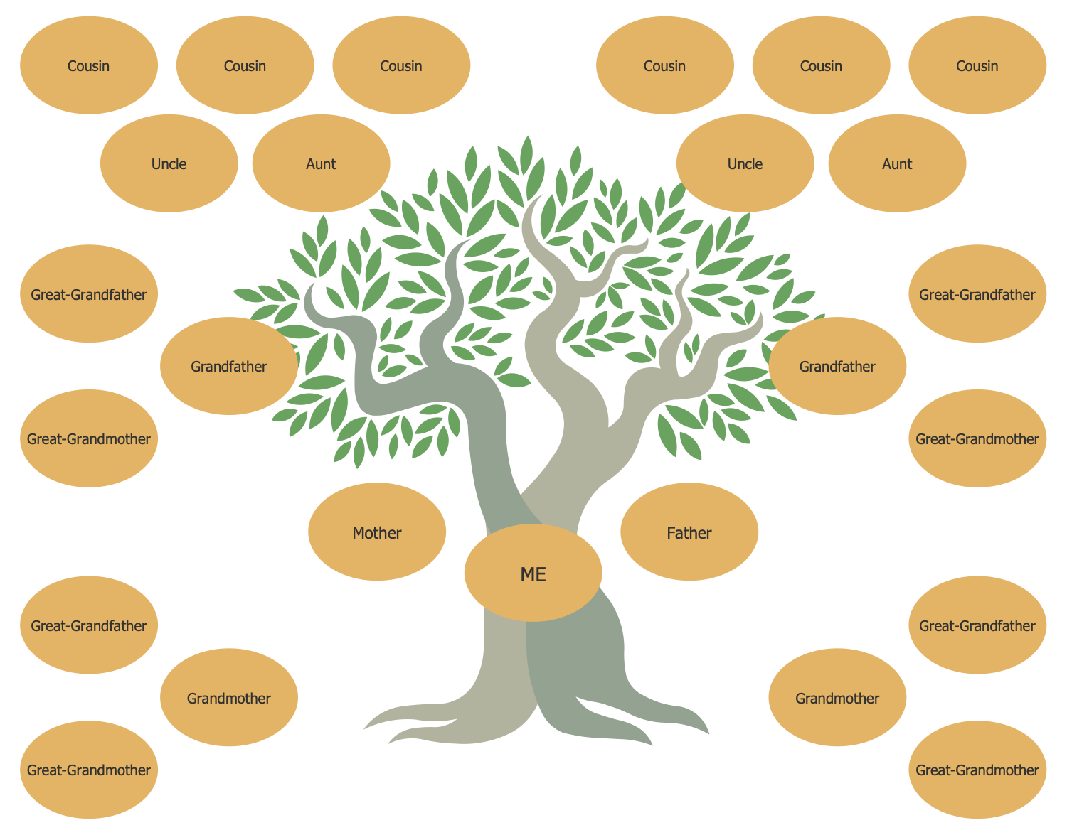 Family Tree Solution ConceptDraw.com.