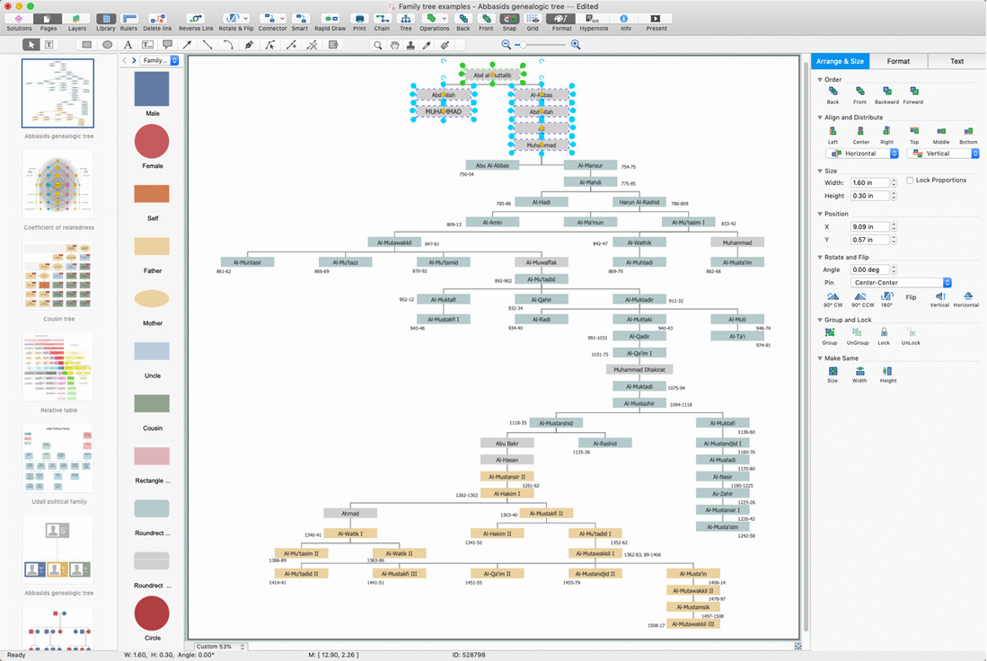 Family Tree solution for Windows and macOS