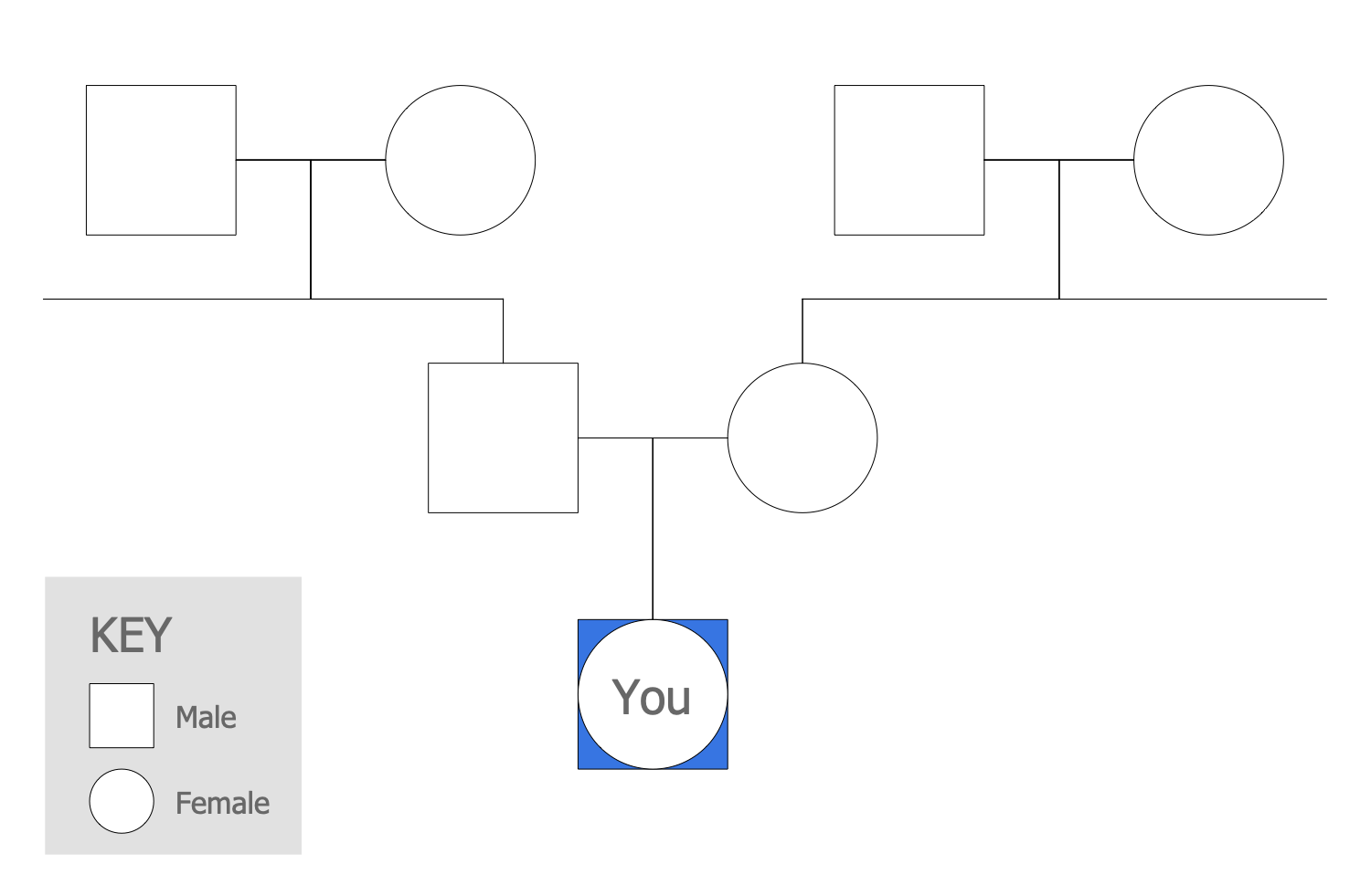 Your Family Tree