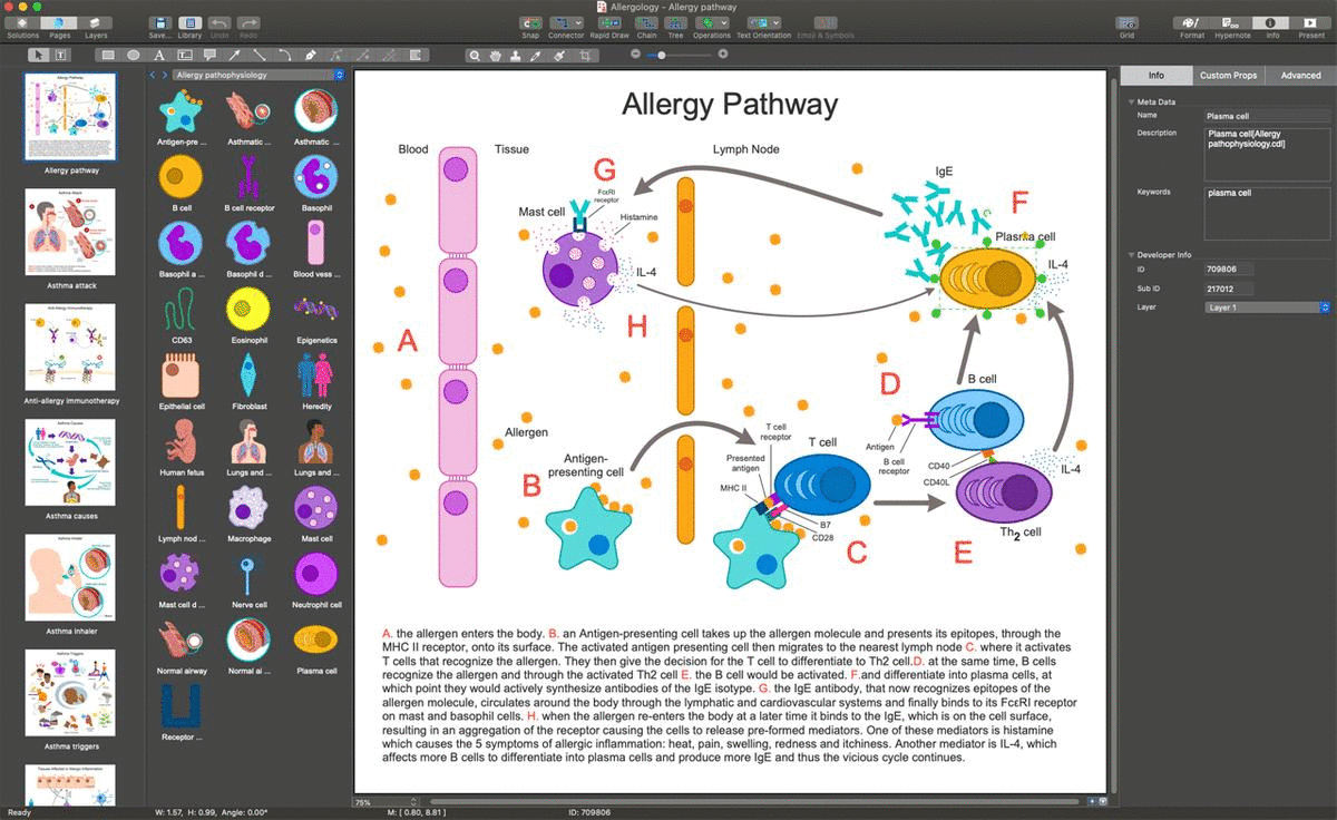 Allergology solution for macOS and Windows