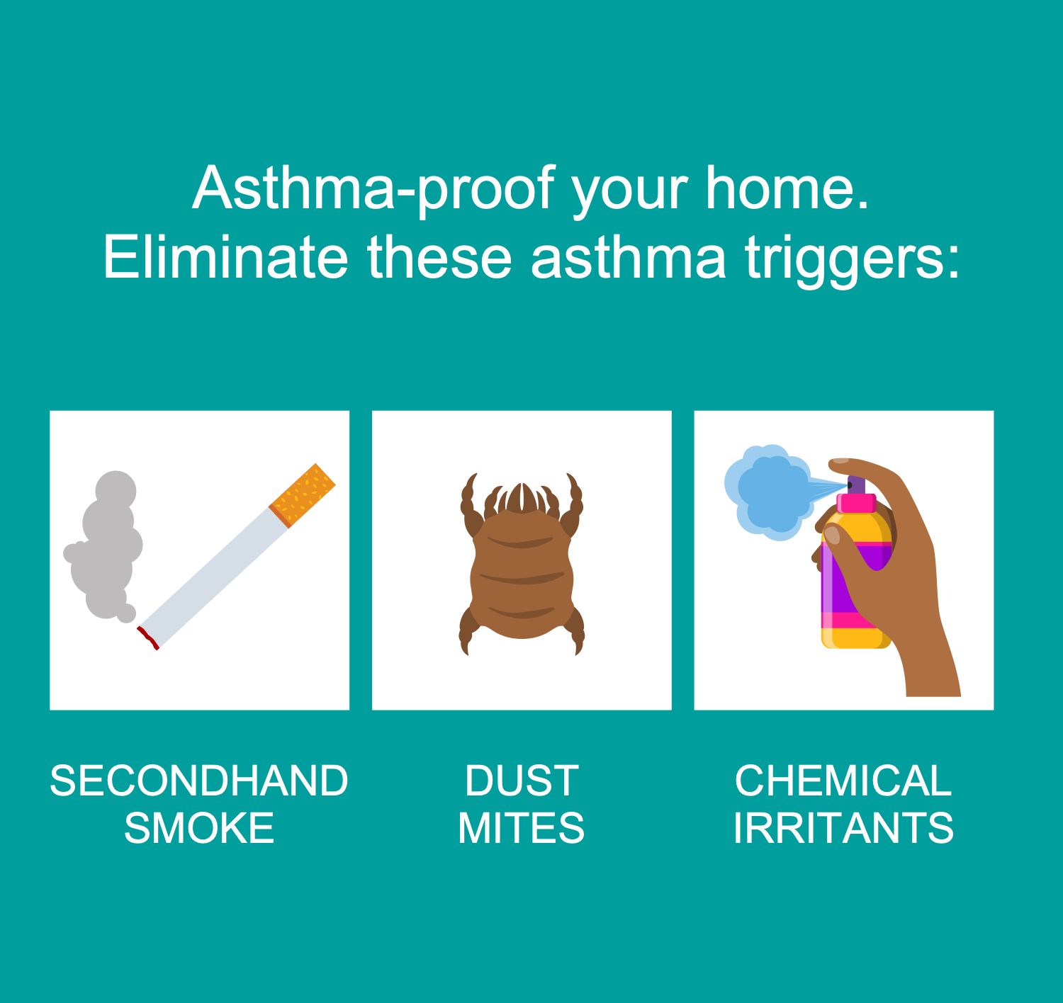 Eliminate Asthma Triggers