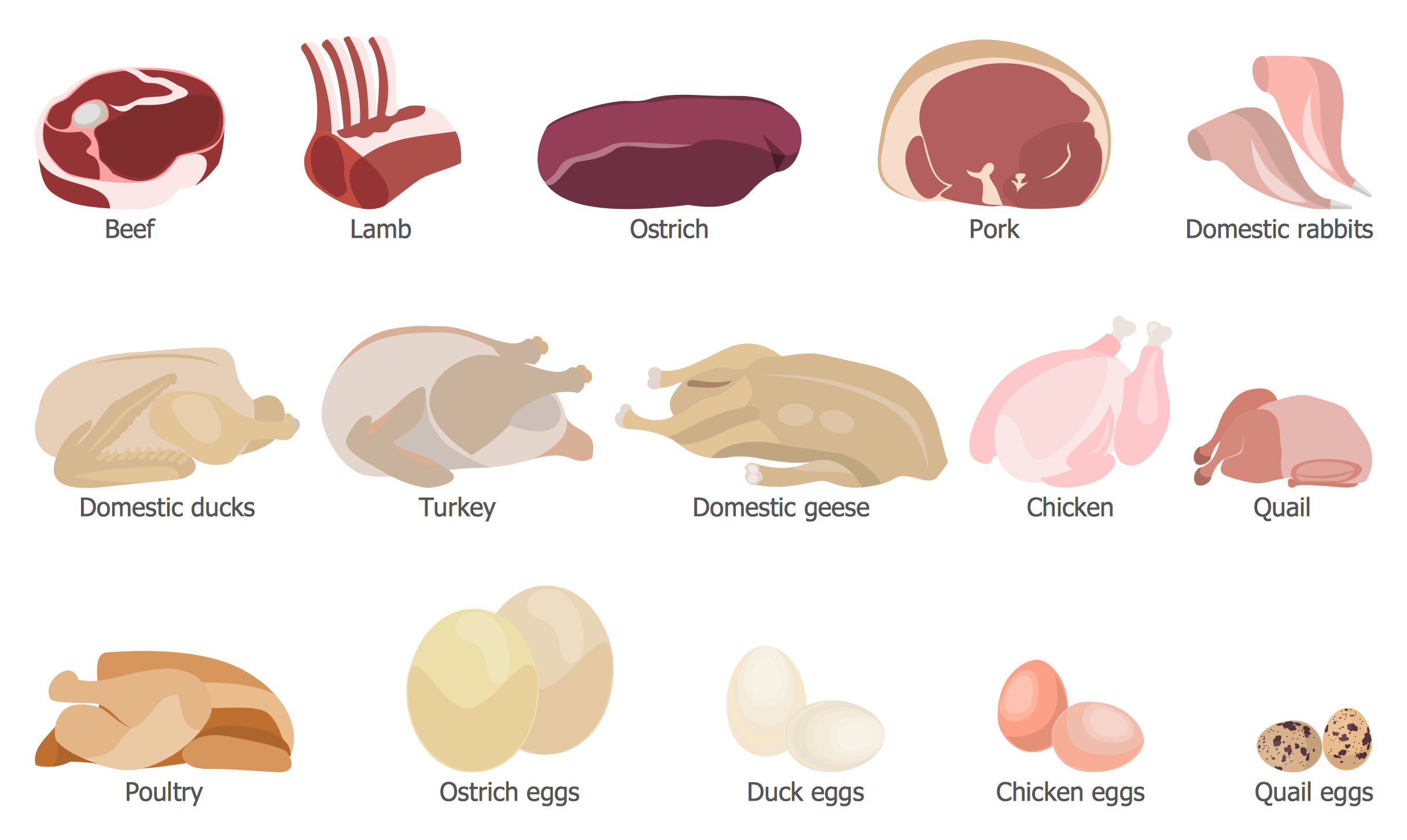 Health Food — Meat and Eggs