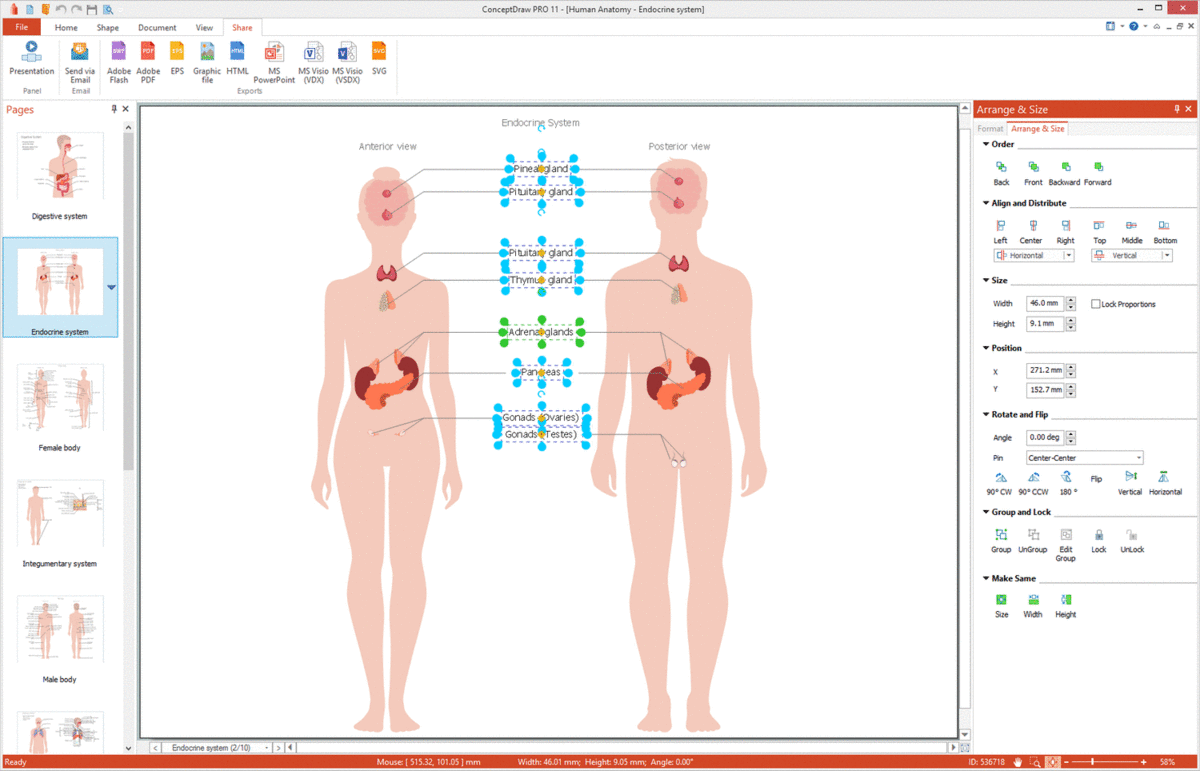 Human Anatomy Solution for Microsoft Windows and Apple macOS