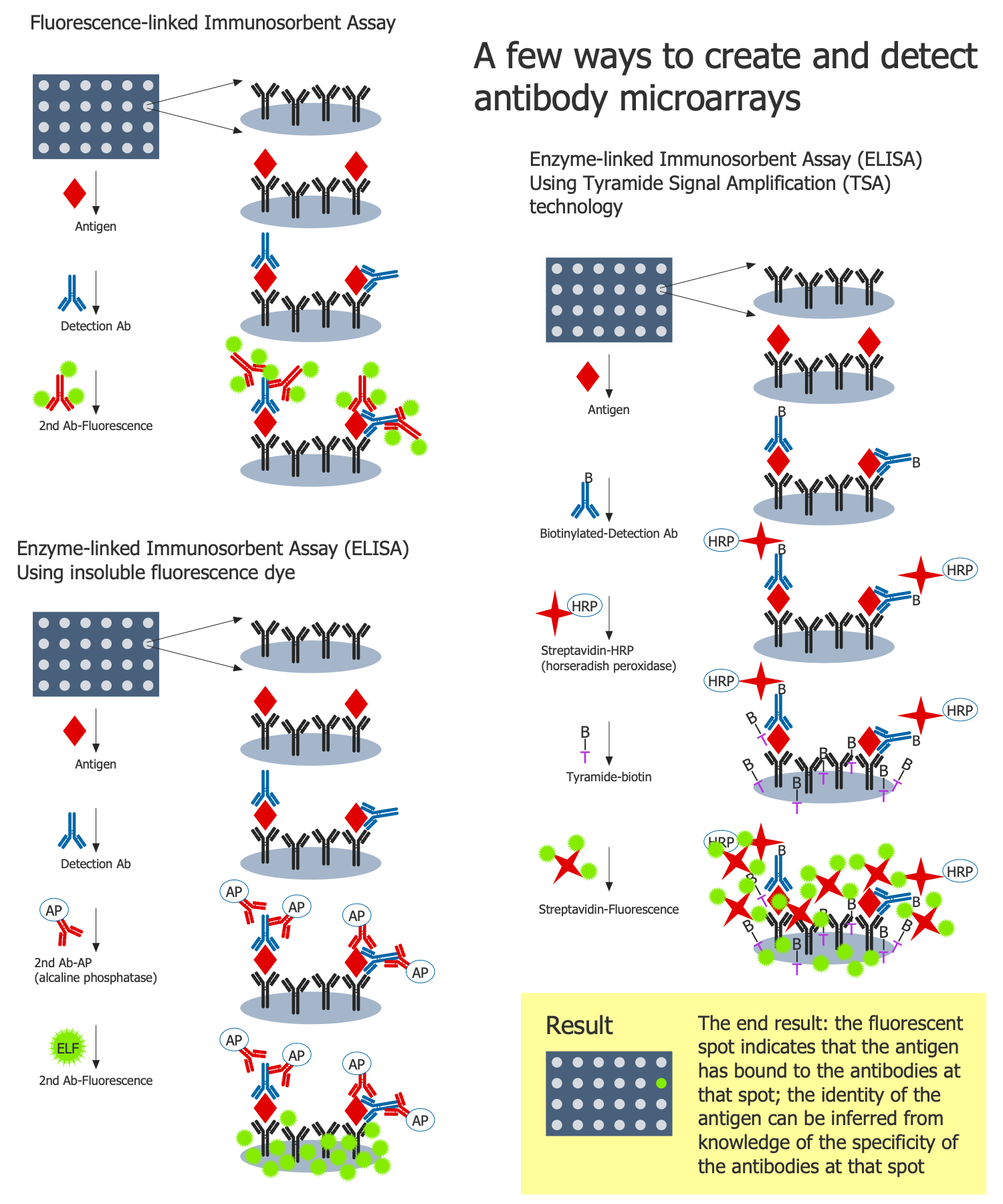 Antibody Microarray