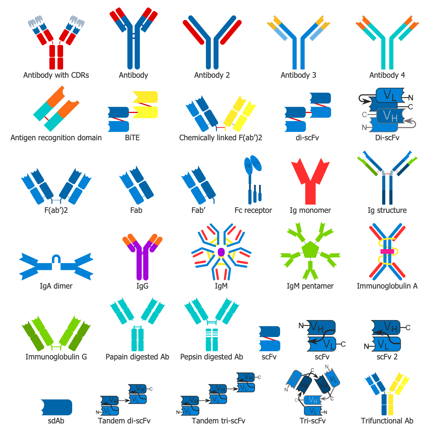 Design Elements — Antibody