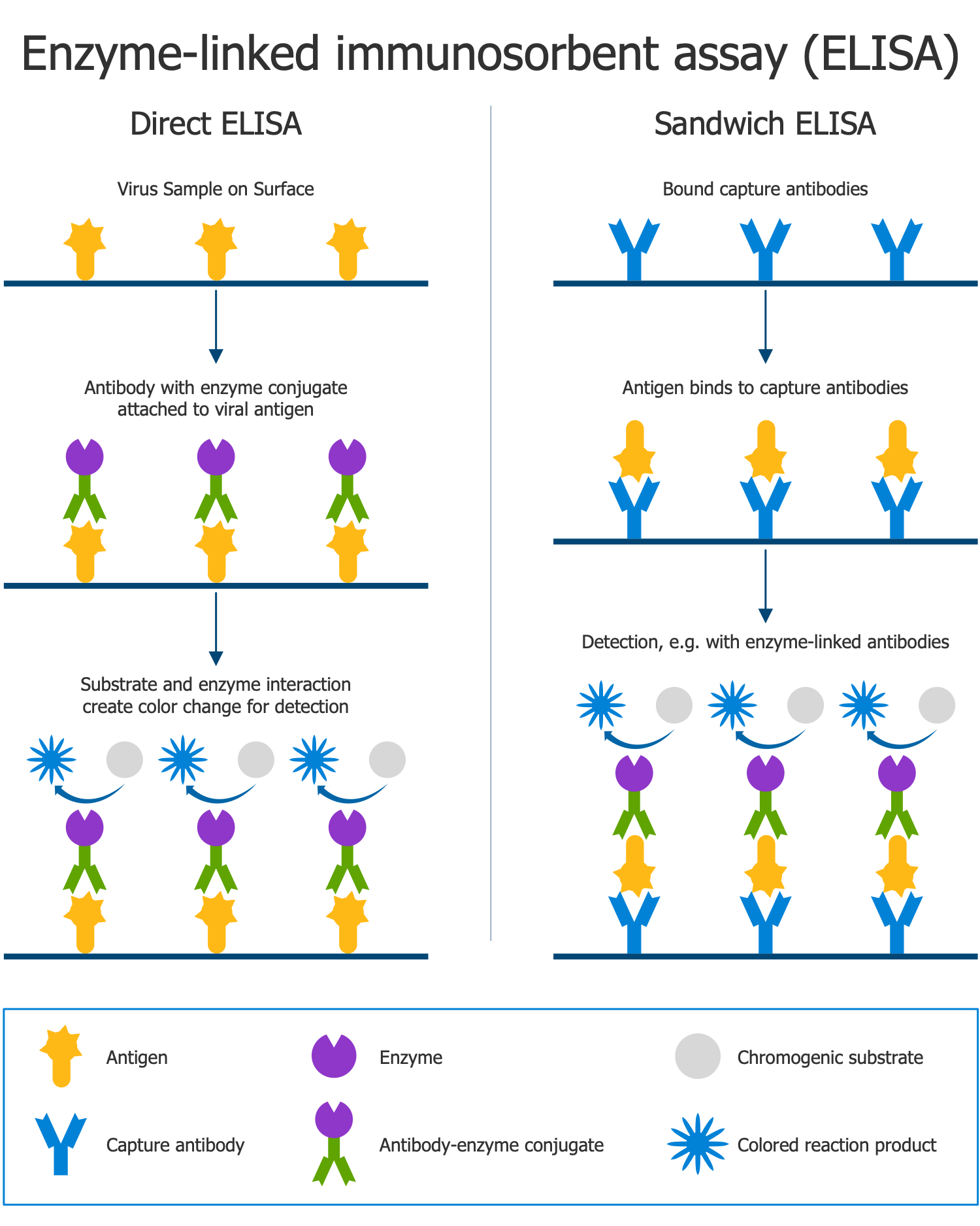 ELISA Tests