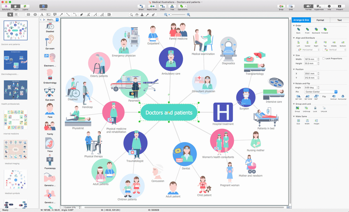 Medical Illustrations solution for Microsoft Windows and macOS