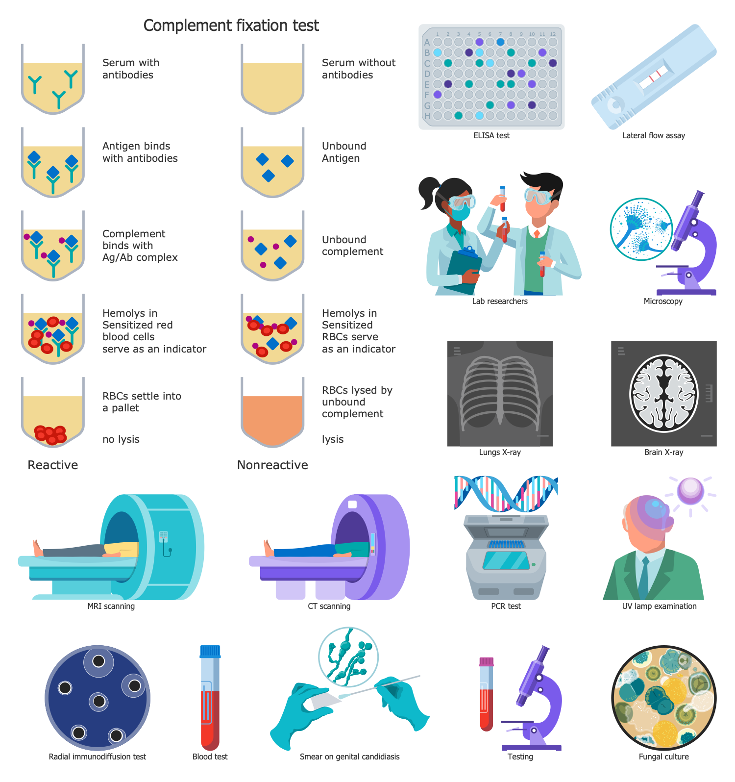 Design Elements — Mycoses Diagnosis