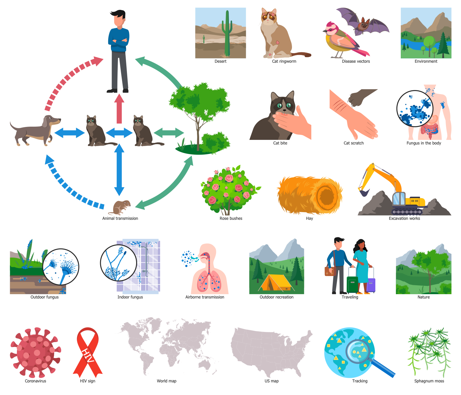 Design Elements — Mycoses Transmission