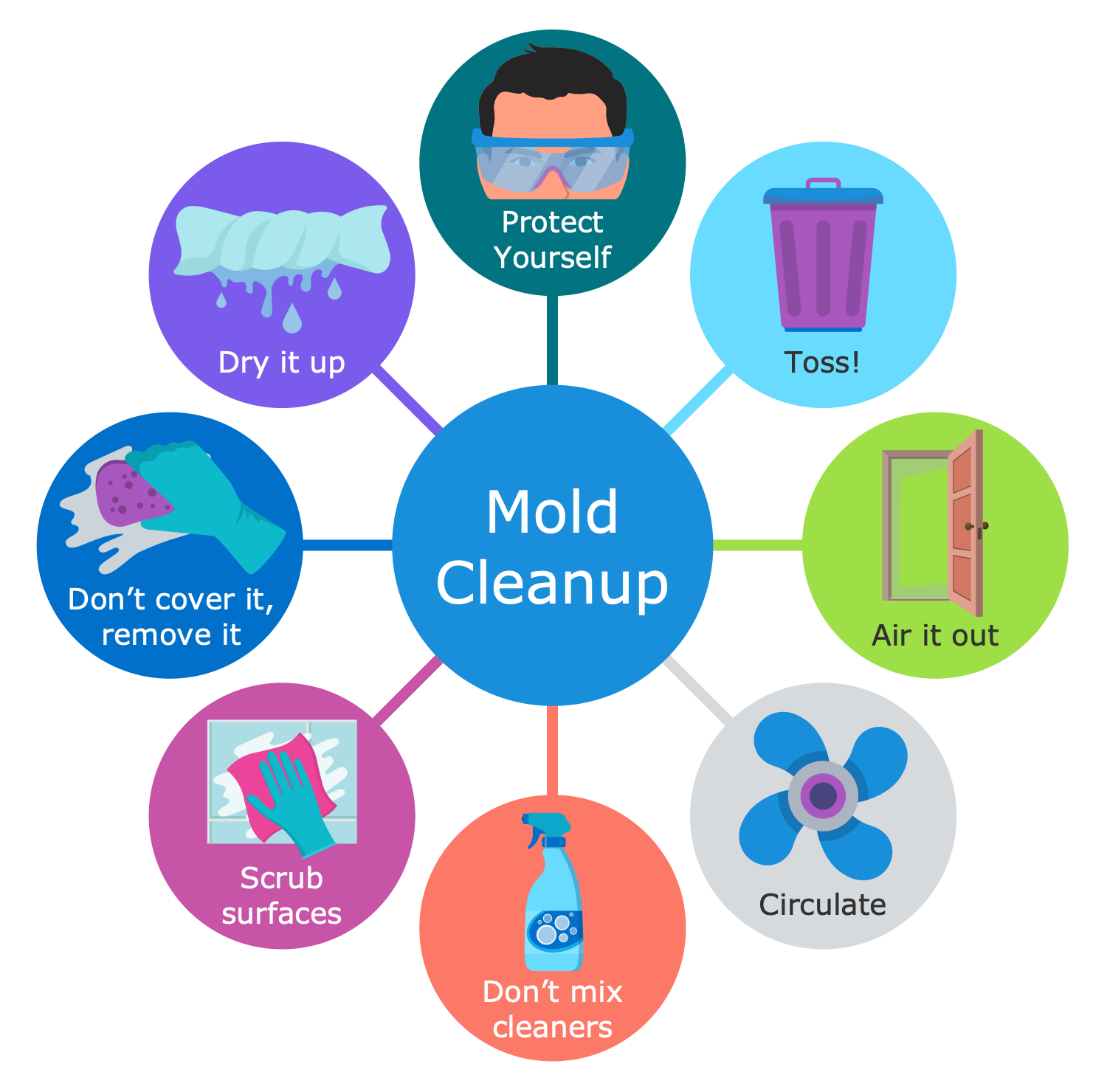 Mold Cleanup