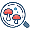 Medical Mycology