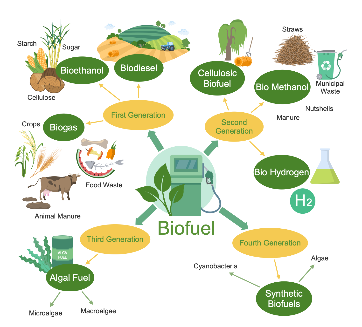 Biofuel Types