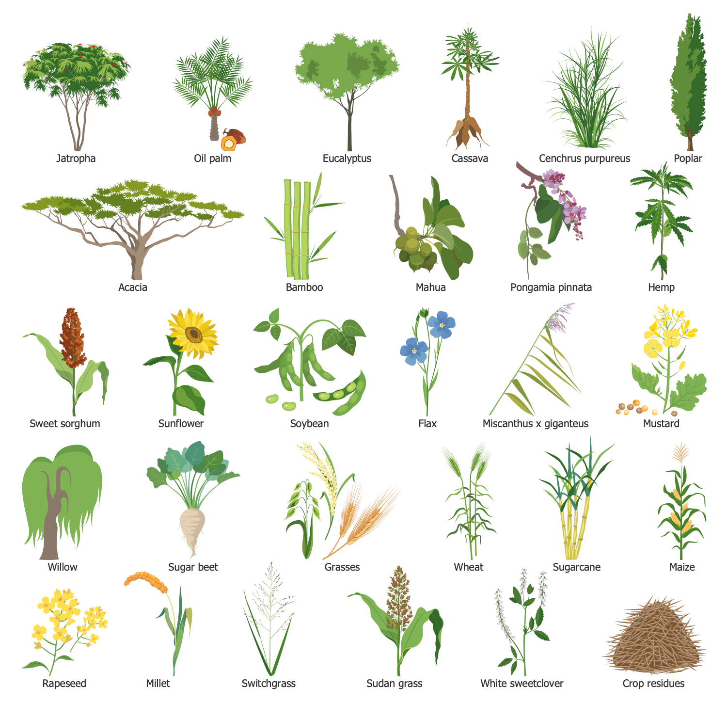 Design Elements — Energy Crops