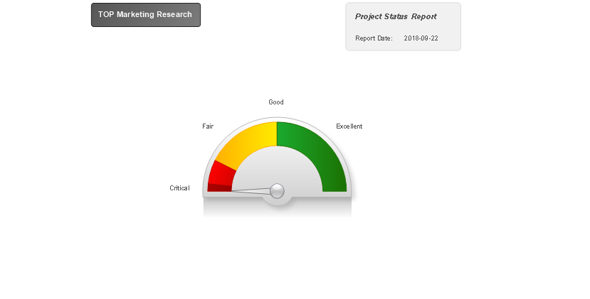 Visual Reports — Project Status