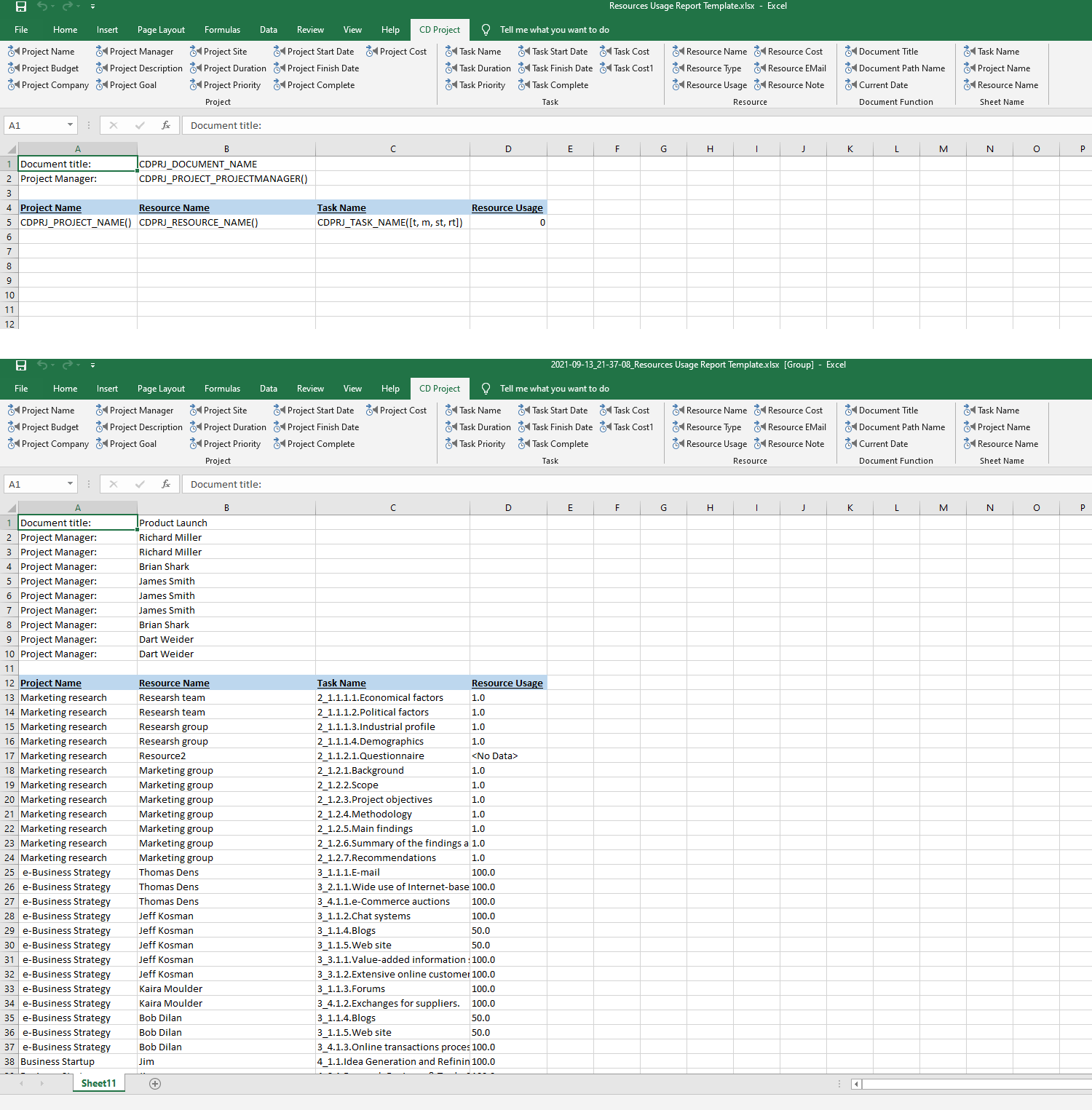 Resources Usage Report Template