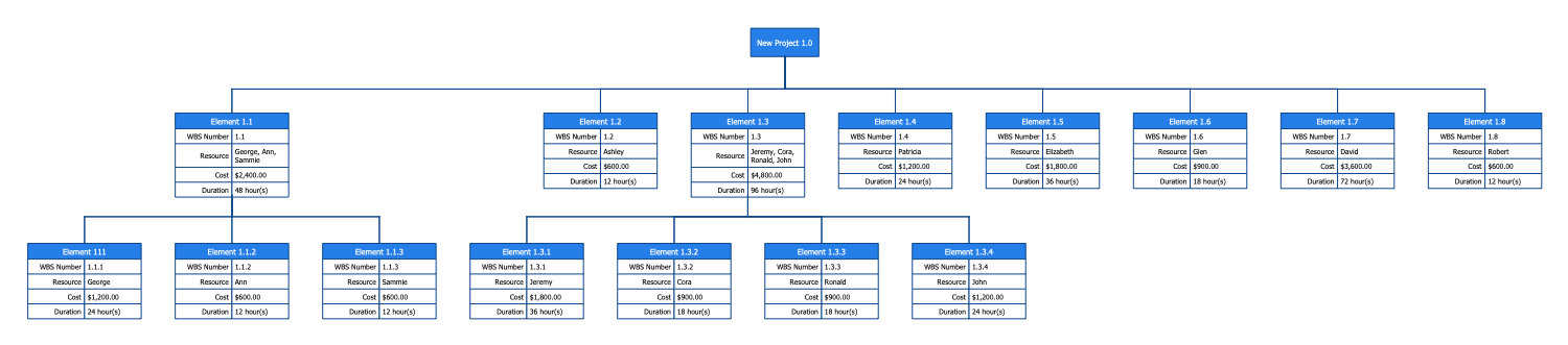 Work Break Down Structure