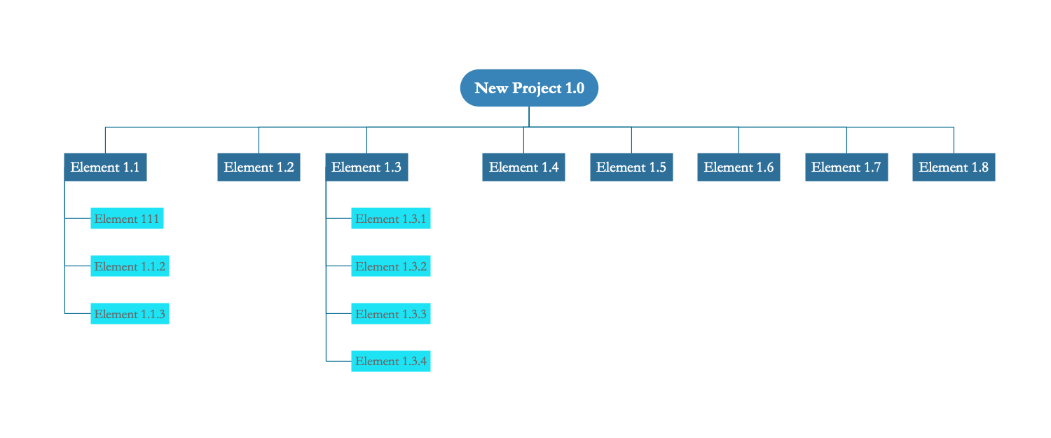 Work Break Down Structure